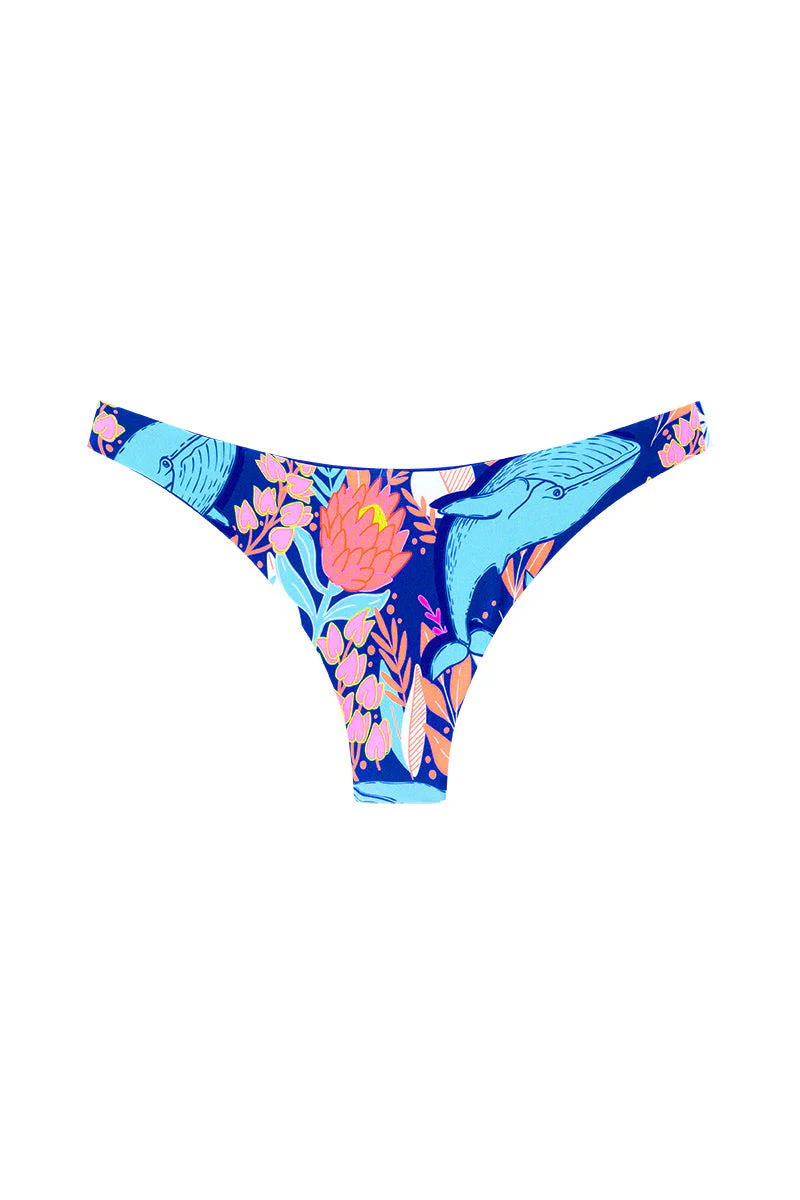 Bas Bronte en Baleines Bleues - Image 4