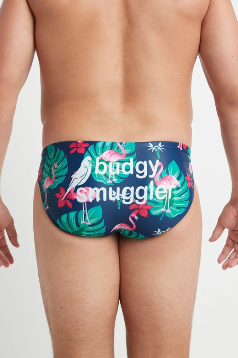Flamingoes - Image 4