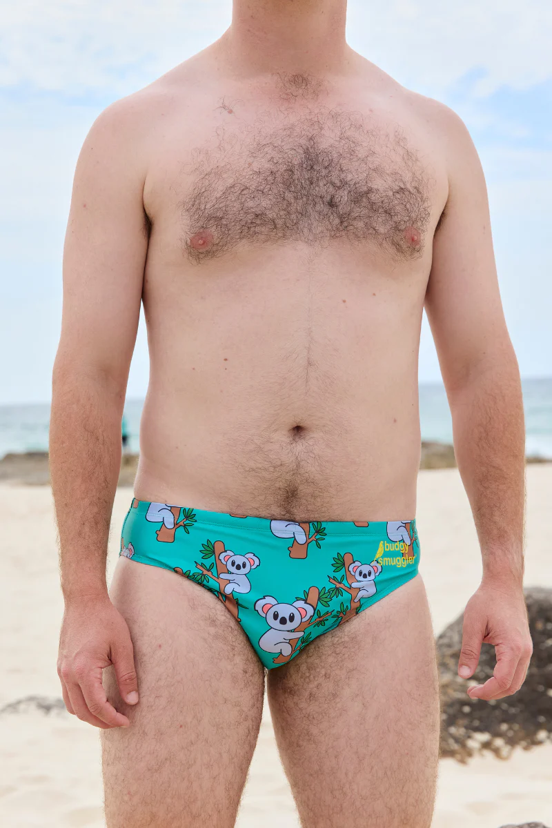 Koala - Image 2